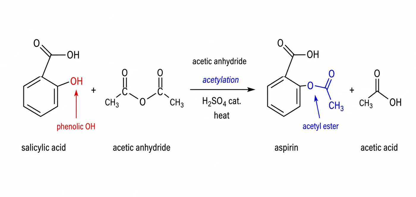 Aspirin synthesis by acetylation of salicylic acid