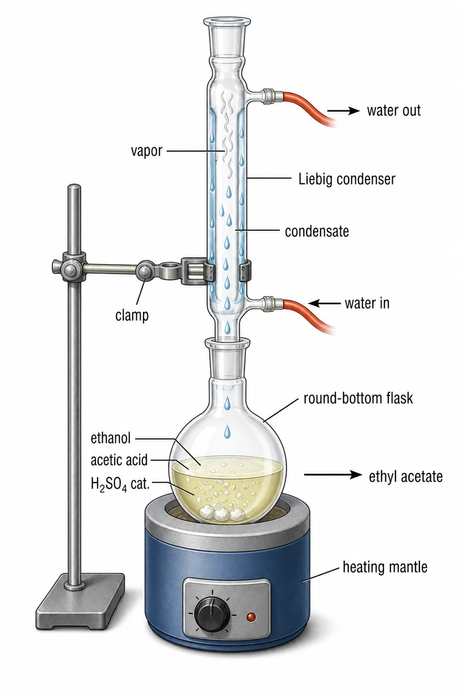 Reflux condenser setup for ethyl acetate synthesis