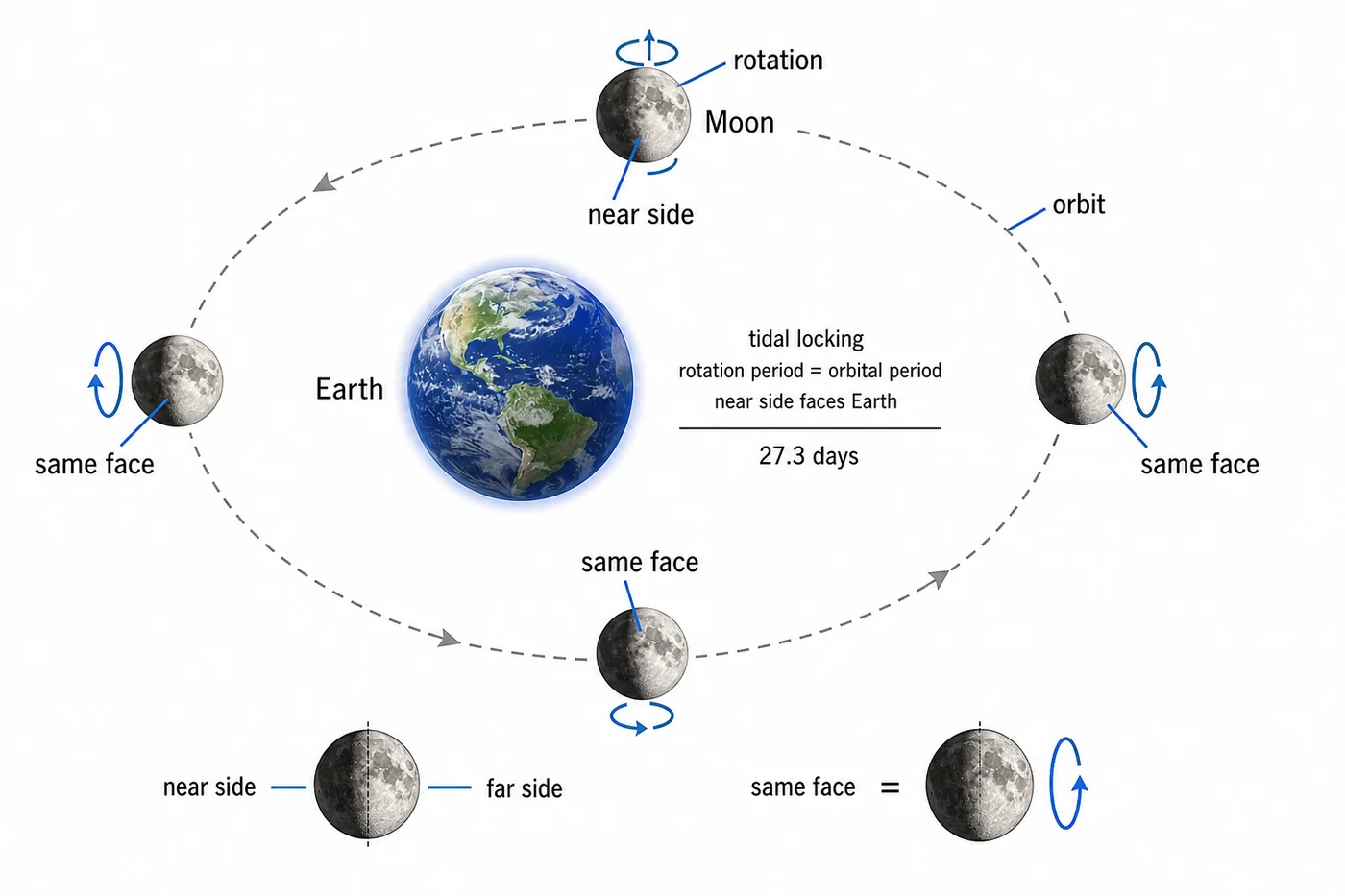 Earth-Moon tidal locking orbital schematic