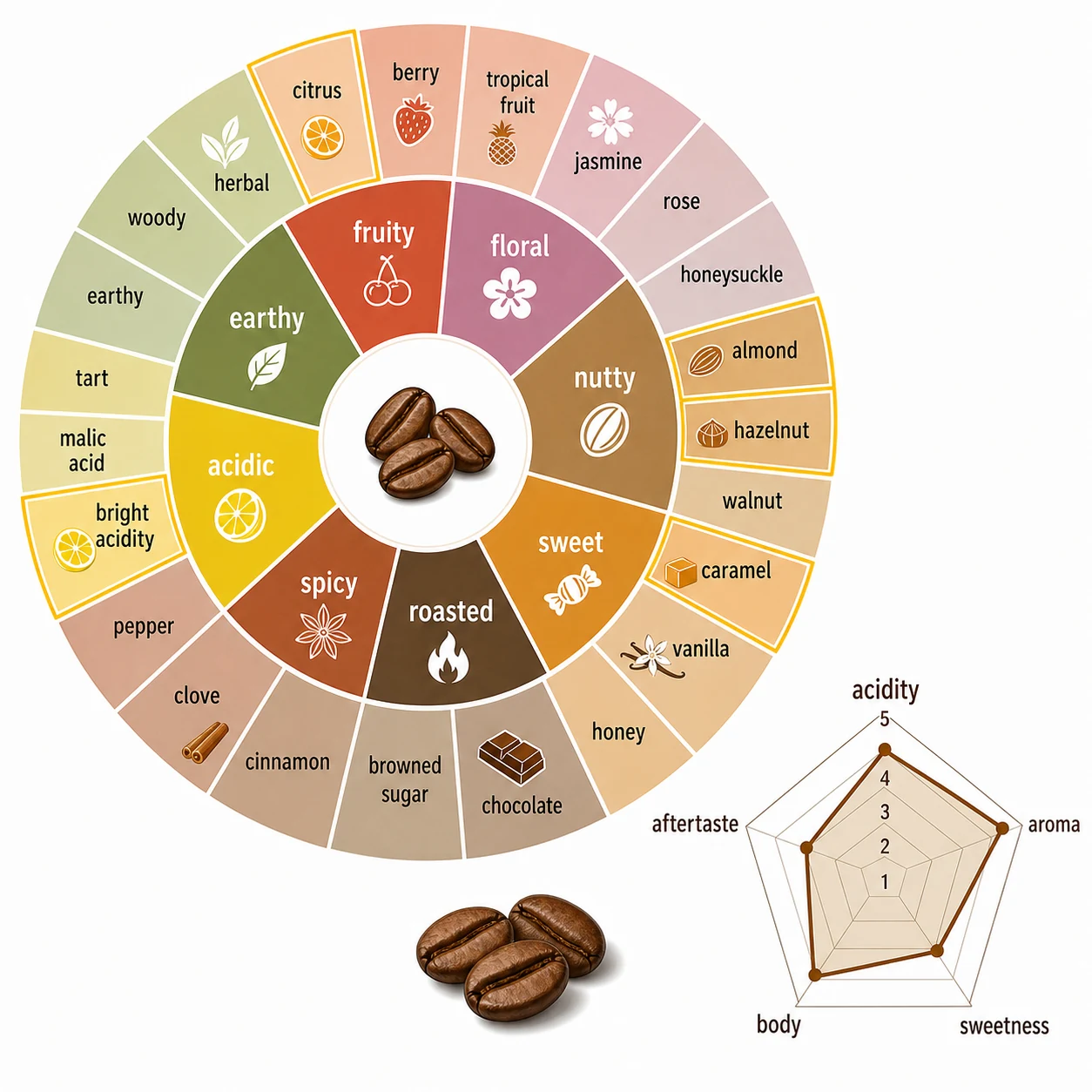 Coffee flavor wheel showing acidity, nutty notes, and caramel aroma