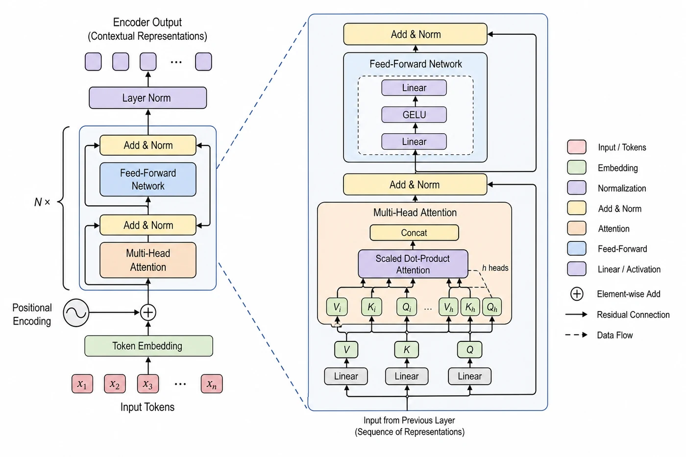 Transformer encoder architecture with multi-head attention and feed-forward layers