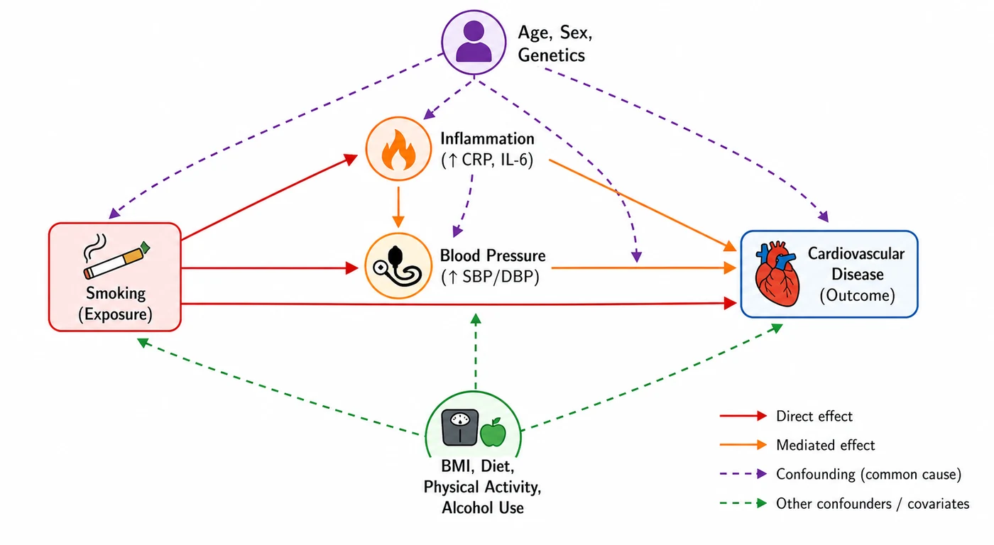 Smoking affecting cardiovascular disease through inflammation and blood pressure