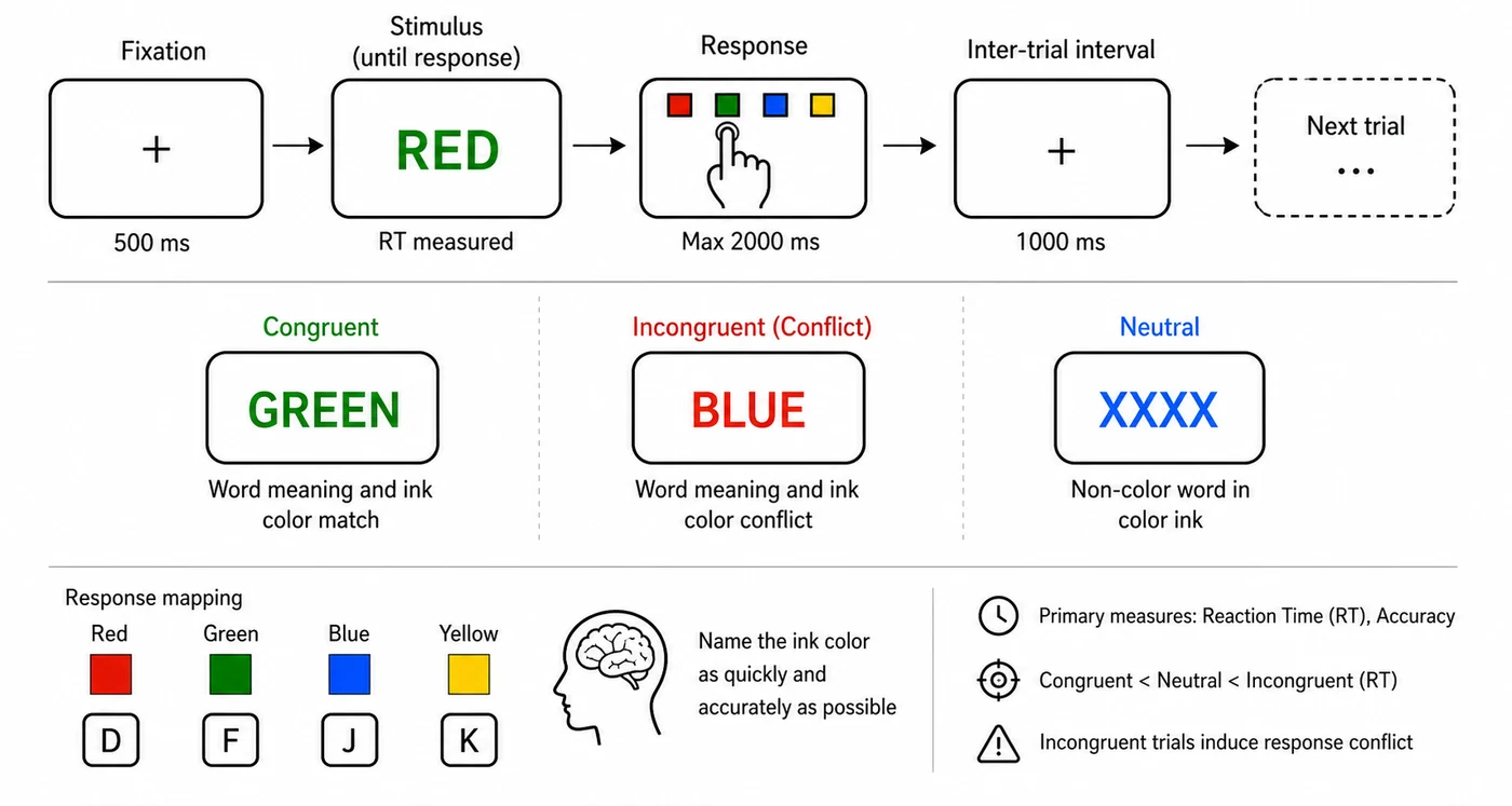Stroop color-word conflict experiment paradigm