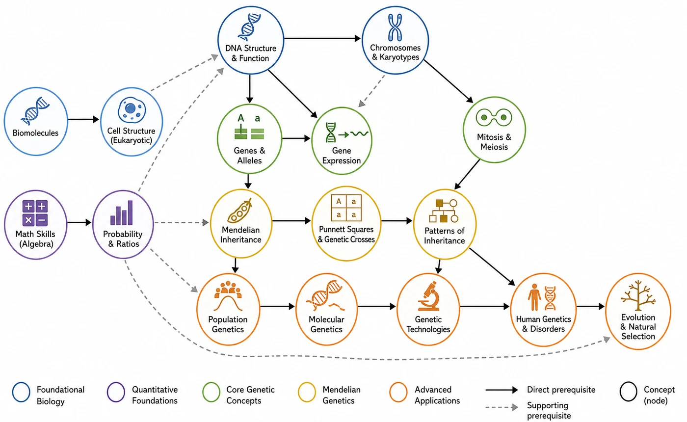 High-school genetics concept graph showing prerequisite relationships